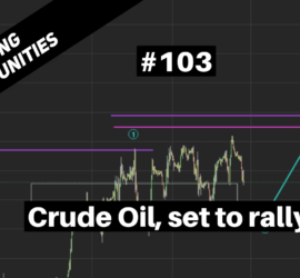 103. Crude Oil set to rally Trading Opportunities Webinar by Neerav Yadav
