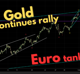 151. Gold continues rally as EURO tanks- Trading Opportunities Webinar by Neerav Yadav